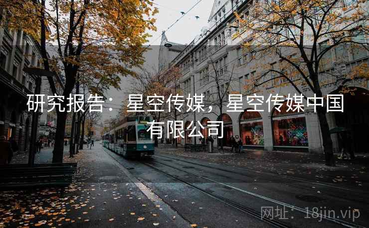 研究报告：星空传媒，星空传媒中国有限公司