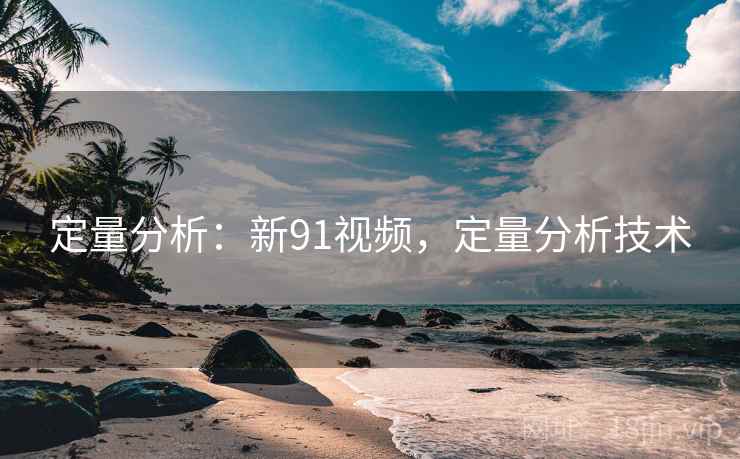 定量分析：新91视频，定量分析技术