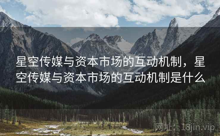 星空传媒与资本市场的互动机制，星空传媒与资本市场的互动机制是什么