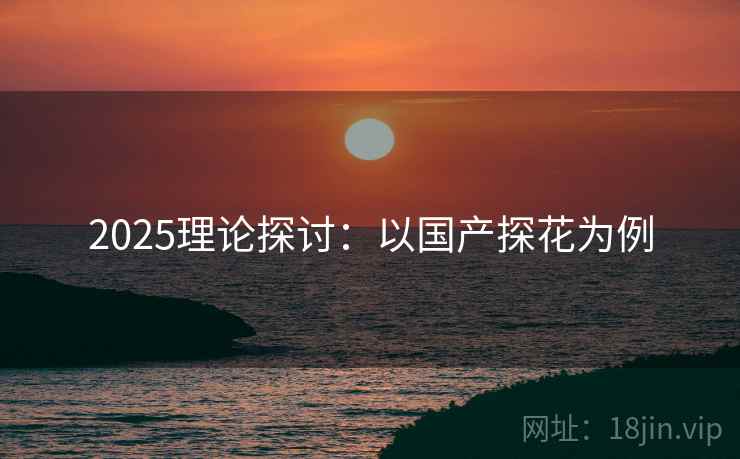 2025理论探讨：以国产探花为例