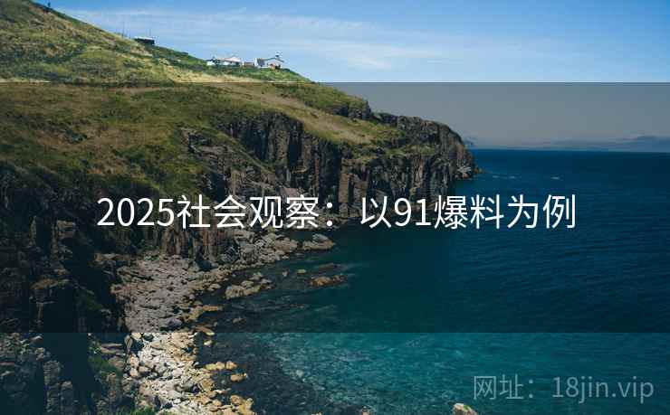 2025社会观察：以91爆料为例