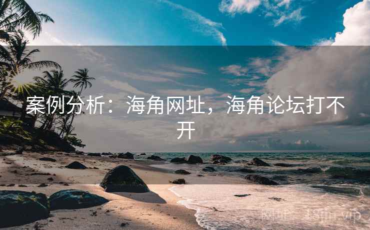 案例分析：海角网址，海角论坛打不开