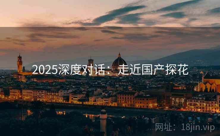 2025深度对话：走近国产探花