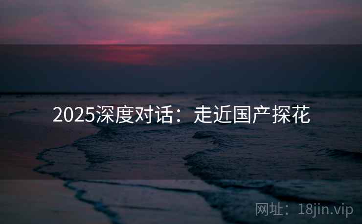 2025深度对话：走近国产探花