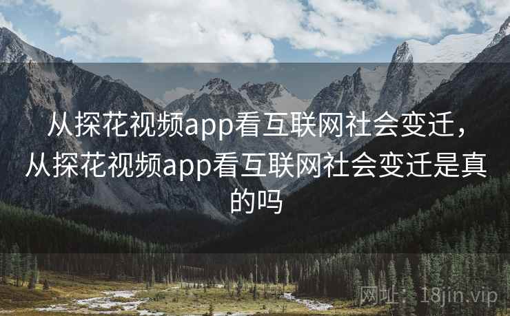 从探花视频app看互联网社会变迁，从探花视频app看互联网社会变迁是真的吗