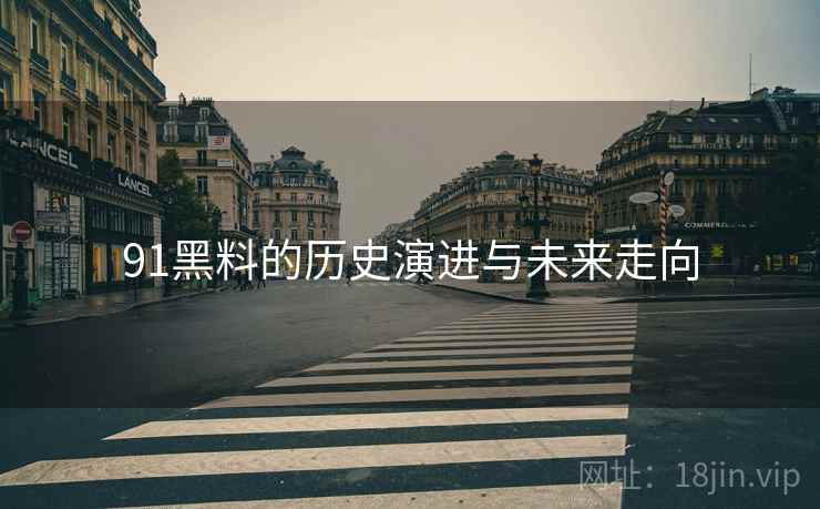 91黑料的历史演进与未来走向