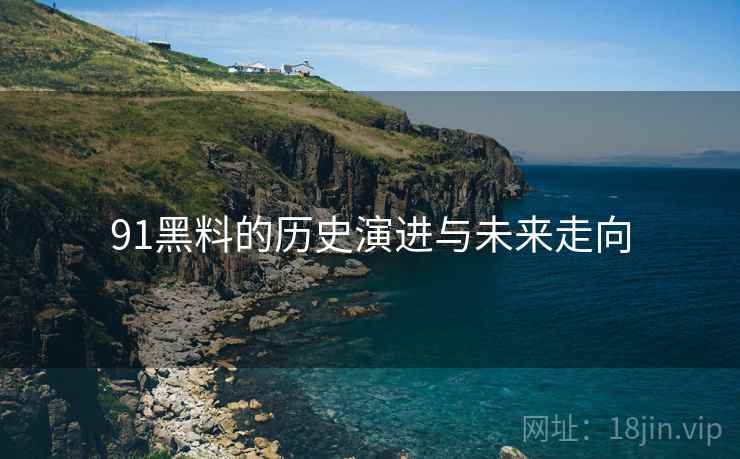 91黑料的历史演进与未来走向