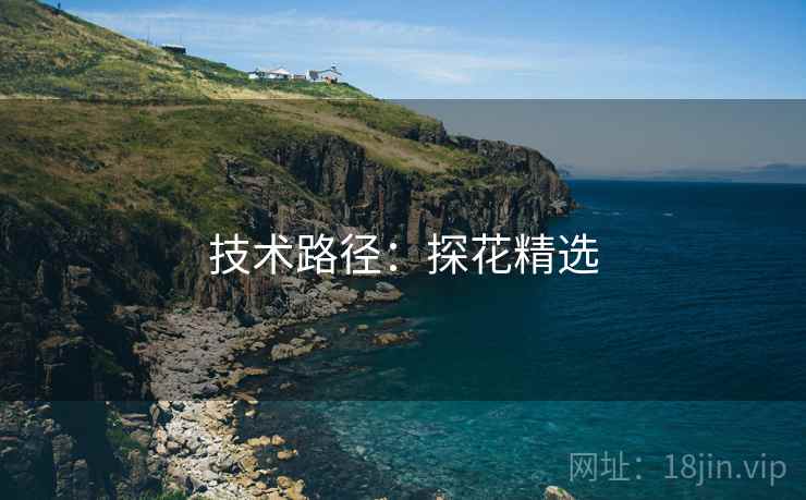 技术路径：探花精选