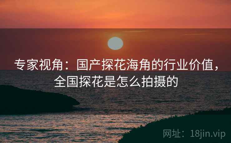 专家视角：国产探花海角的行业价值，全国探花是怎么拍摄的