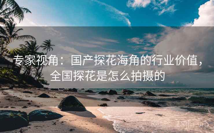 专家视角：国产探花海角的行业价值，全国探花是怎么拍摄的