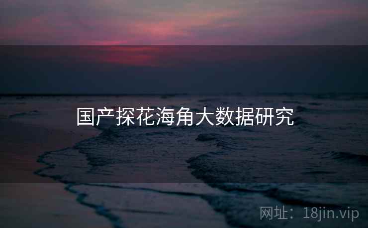 国产探花海角大数据研究