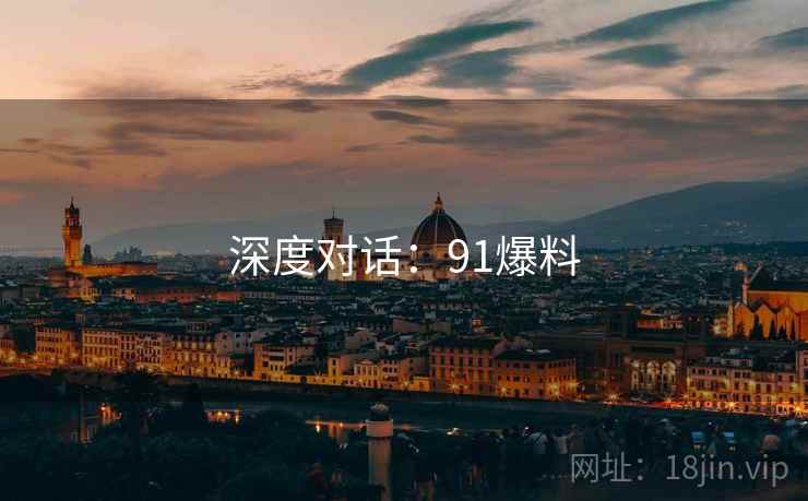 深度对话：91爆料