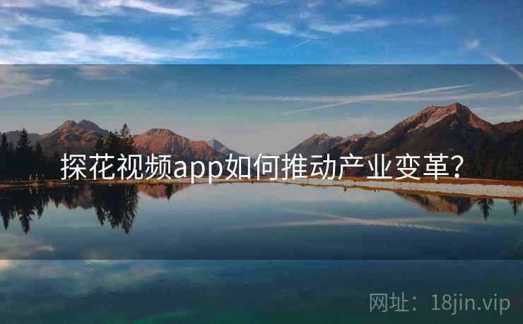 探花视频app如何推动产业变革？