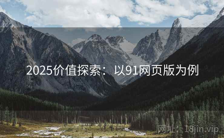 2025价值探索：以91网页版为例