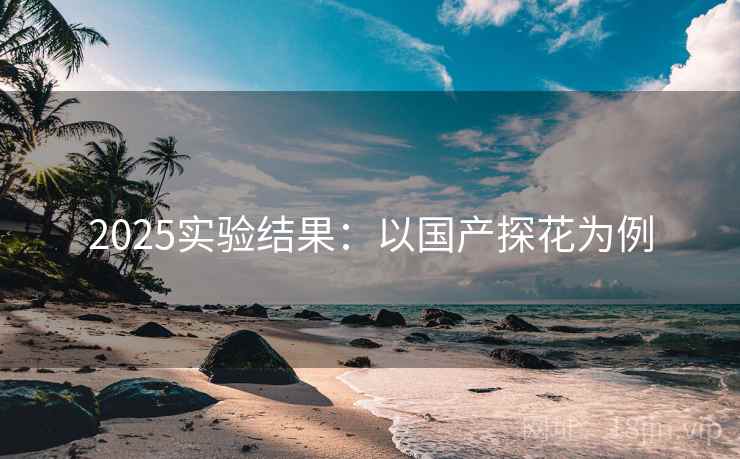 2025实验结果：以国产探花为例