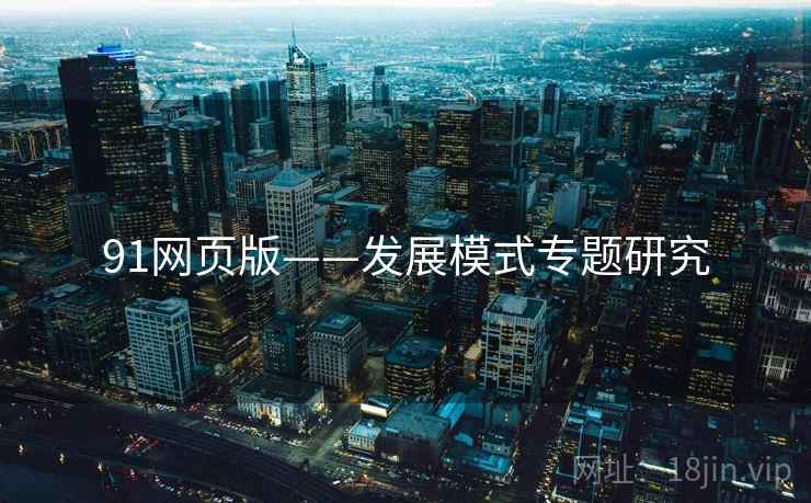 91网页版——发展模式专题研究