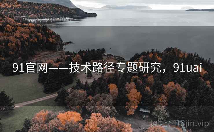 91官网——技术路径专题研究，91uai