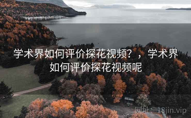 学术界如何评价探花视频？，学术界如何评价探花视频呢