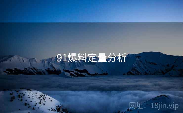 91爆料定量分析