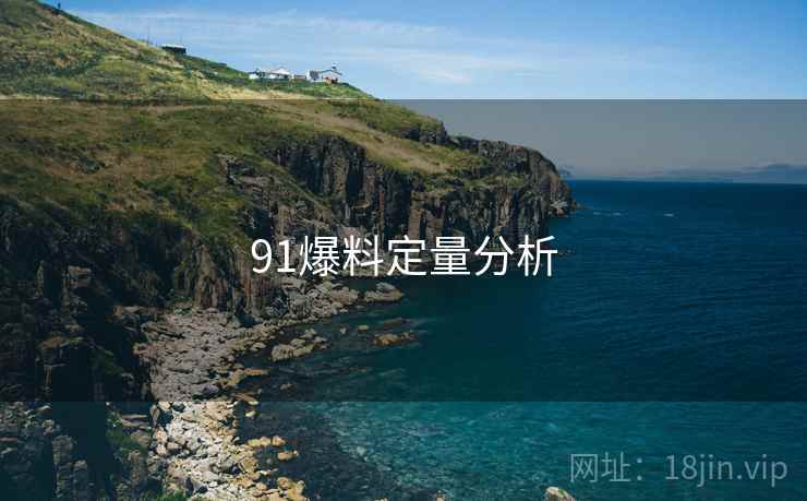 91爆料定量分析