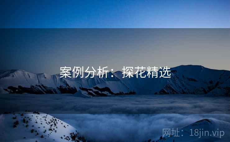案例分析：探花精选