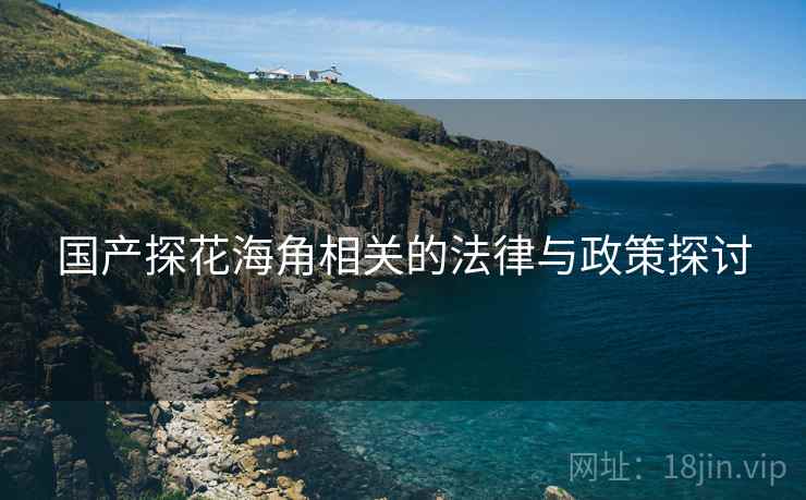 国产探花海角相关的法律与政策探讨