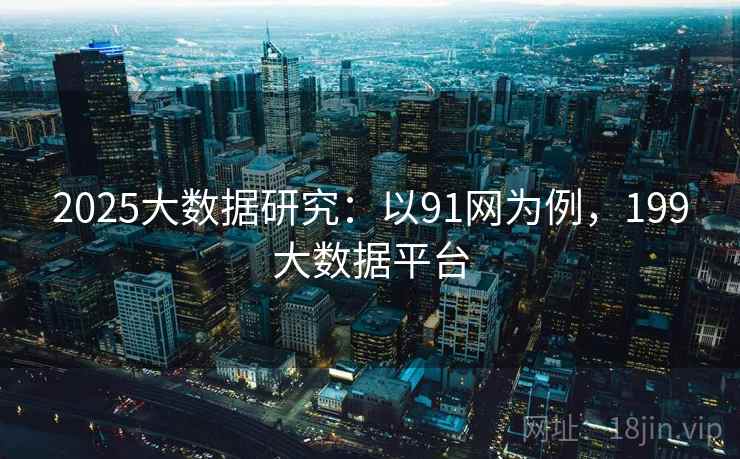 2025大数据研究：以91网为例，199大数据平台