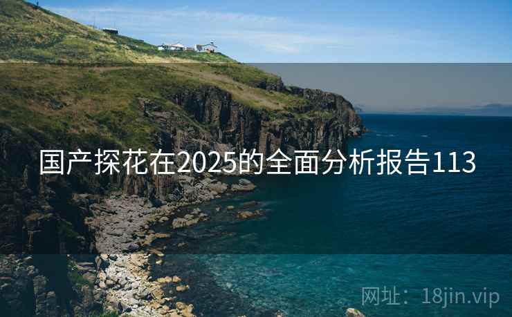 国产探花在2025的全面分析报告113