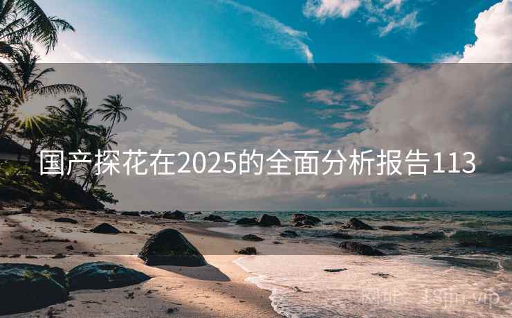 国产探花在2025的全面分析报告113
