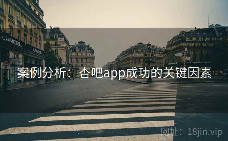 案例分析：杏吧app成功的关键因素