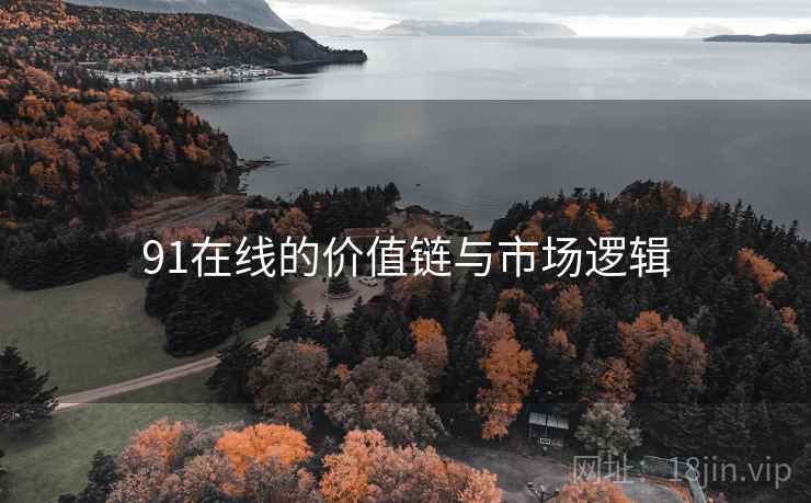 91在线的价值链与市场逻辑