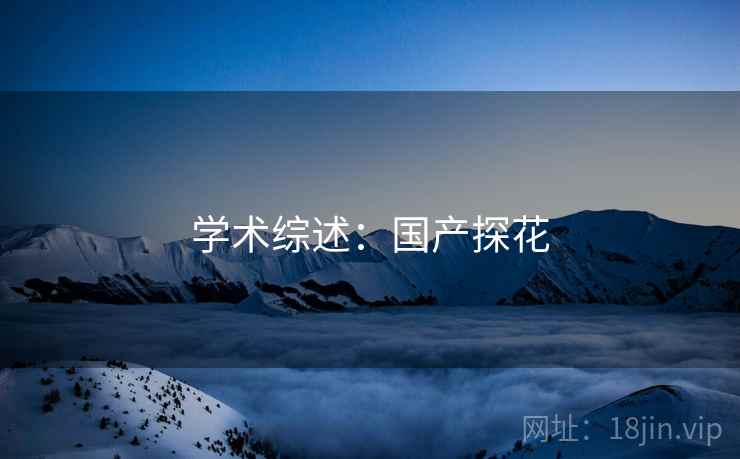 学术综述：国产探花
