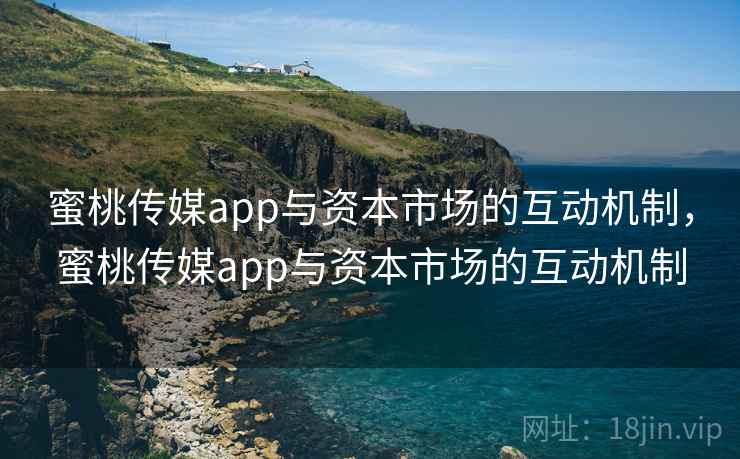 蜜桃传媒app与资本市场的互动机制，蜜桃传媒app与资本市场的互动机制