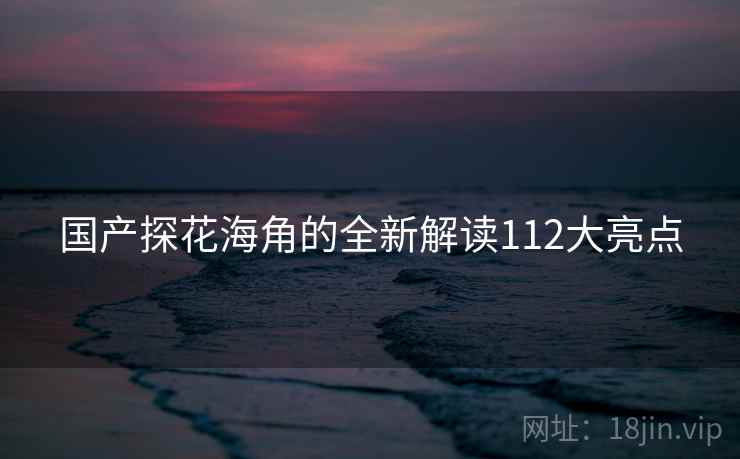 国产探花海角的全新解读112大亮点