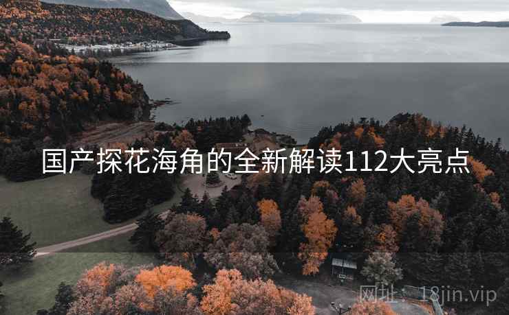 国产探花海角的全新解读112大亮点