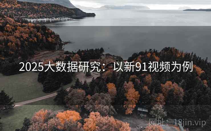 2025大数据研究：以新91视频为例