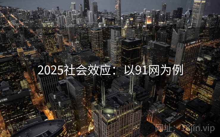 2025社会效应：以91网为例