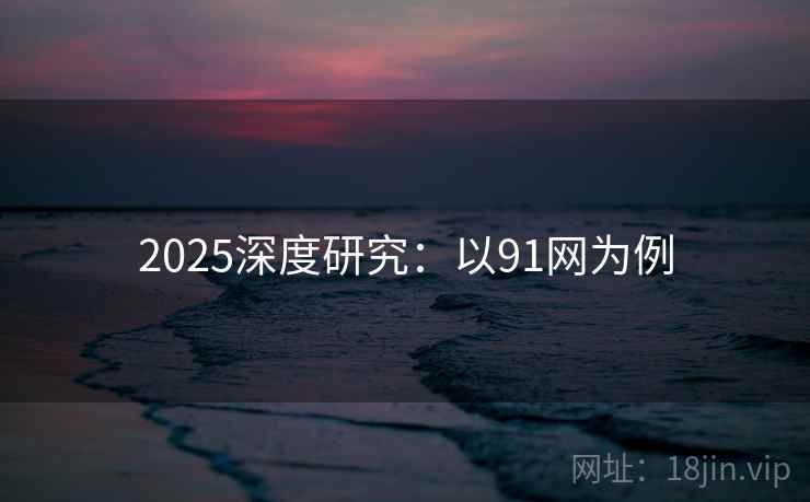 2025深度研究：以91网为例