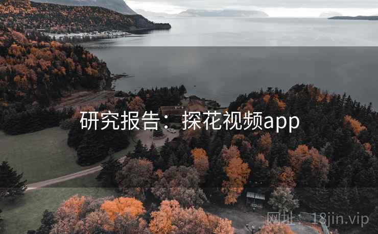 研究报告：探花视频app